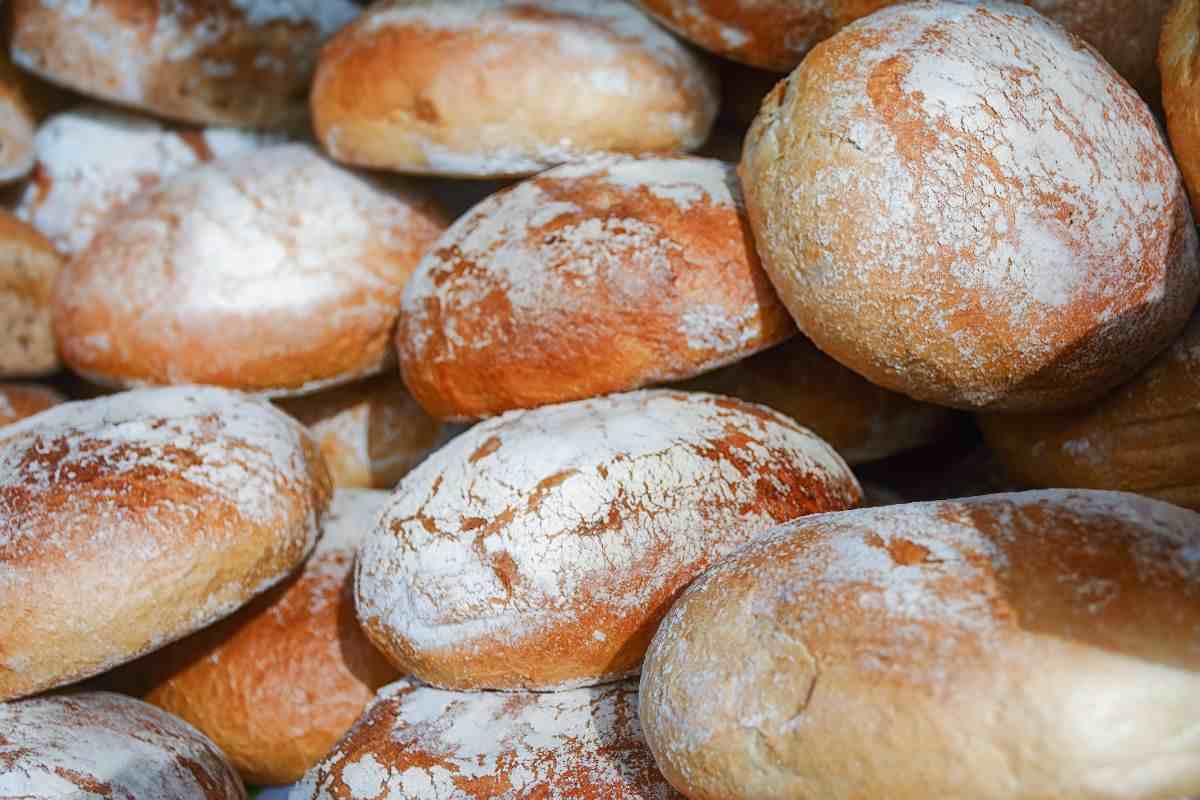 diversi pezzi di pane